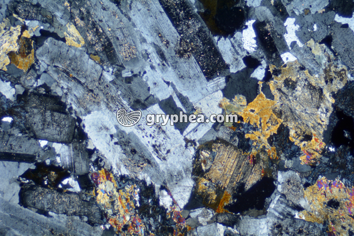 Granodiorite LPA x6,3 - gryphea.com